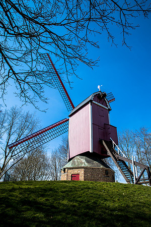 _MG_5978