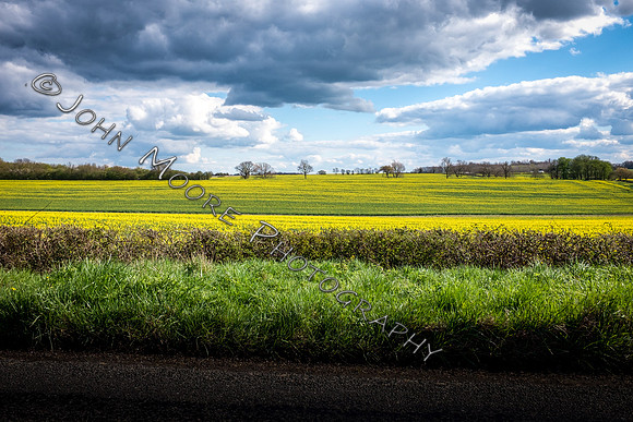 DSCF8849-Edit