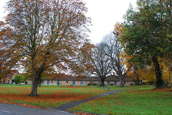 DSC_0185.JPG