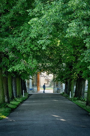 _MG_0944-Edit