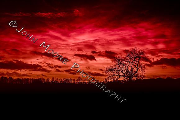 A91C1162-Edit