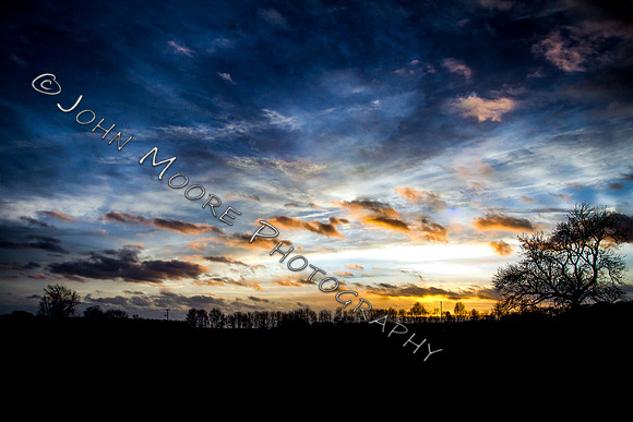 A91C1173-Edit