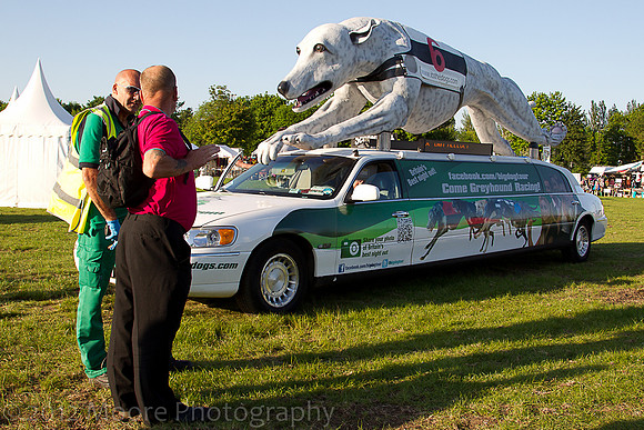 willow_fest-1
