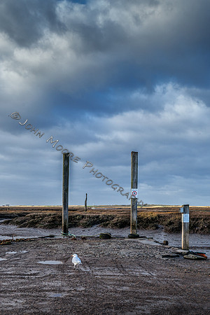 IMG_0442-Edit