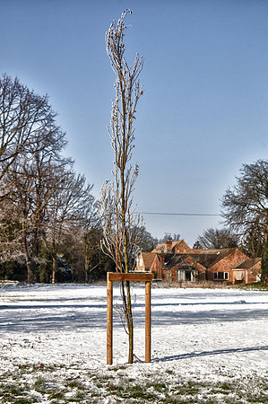 A91C7871_HDR