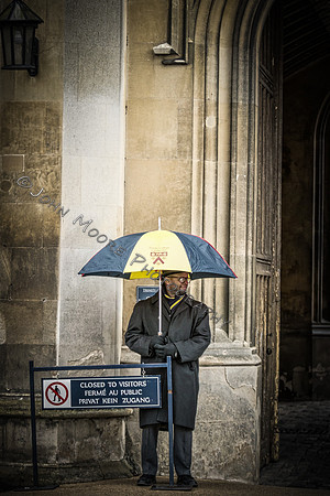 IMG_2625