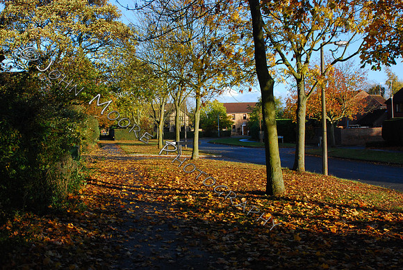 DSC_0180.JPG