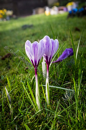 DSCF3476