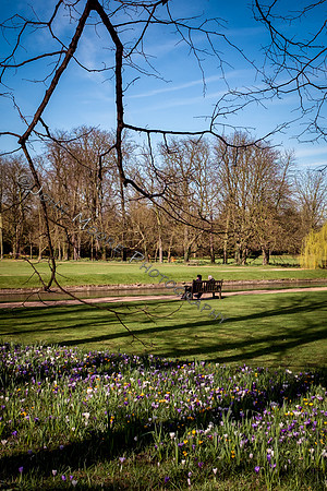 DSCF3785-Edit