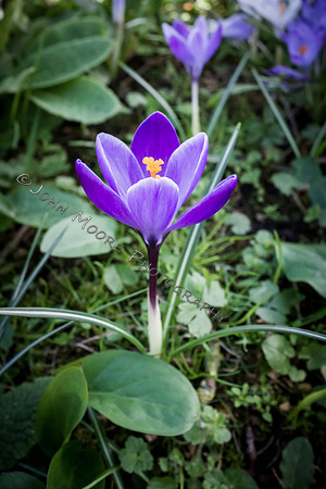 DSCF3841