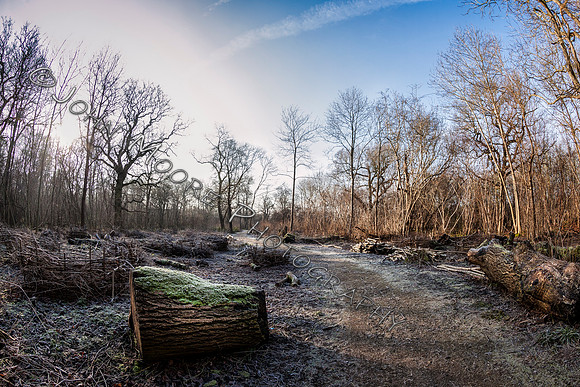 IMG_1672-Edit