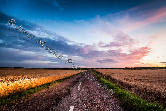 IMG_4099-Edit