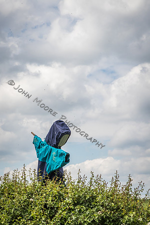 IMG_0525