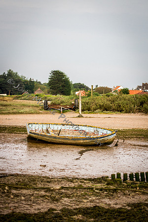 IMG_5791