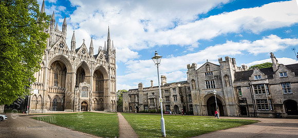 IMG_9545-Pano