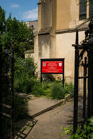 DSCF5392