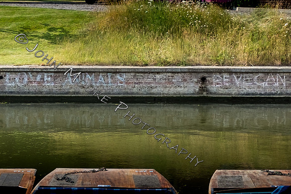 DSCF5509