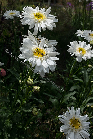 DSCF5745