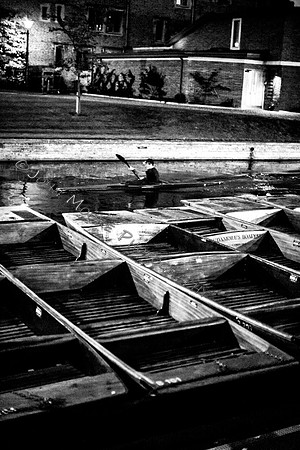 _MG_8002