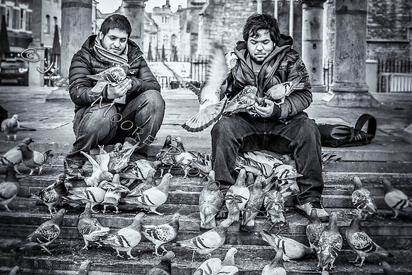 IMG_6366-Edit