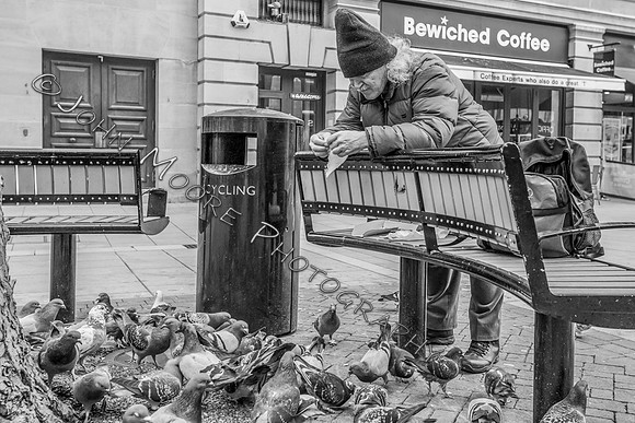 IMG_0662-Edit