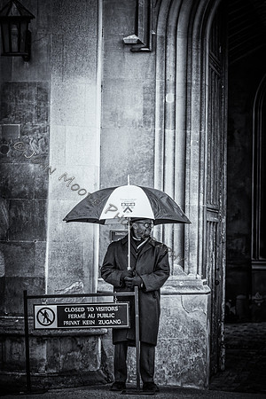 IMG_2625-Edit