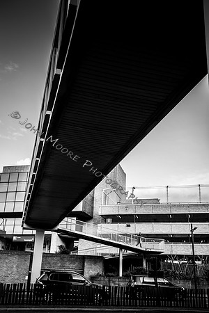 IMG_2310