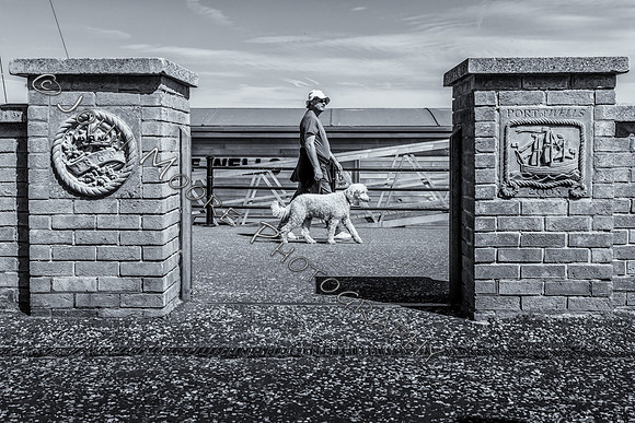 IMG_1016-Edit