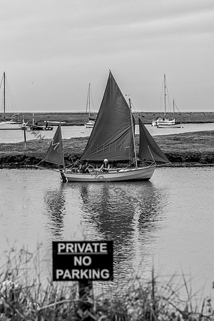 IMG_1223-Edit