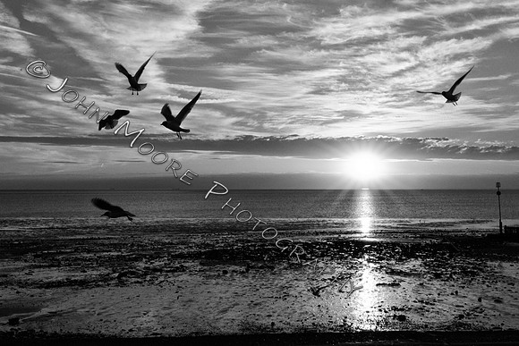 IMG_1499-Edit
