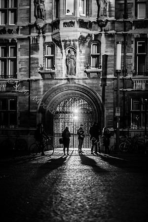 _MG_3730