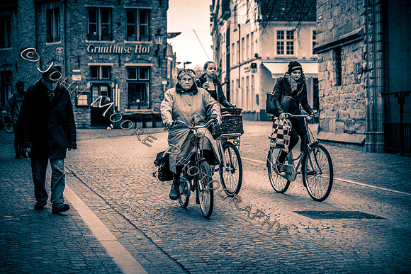 _MG_5395