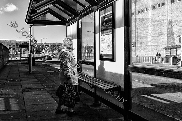 _MG_3772-Edit