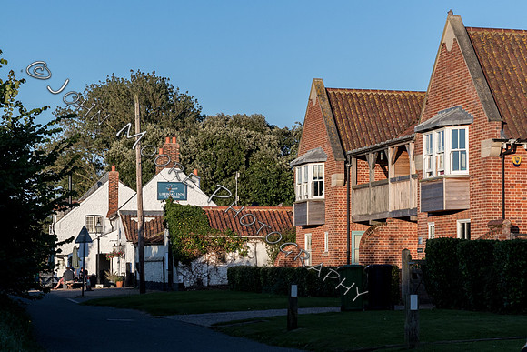 IMG_8113