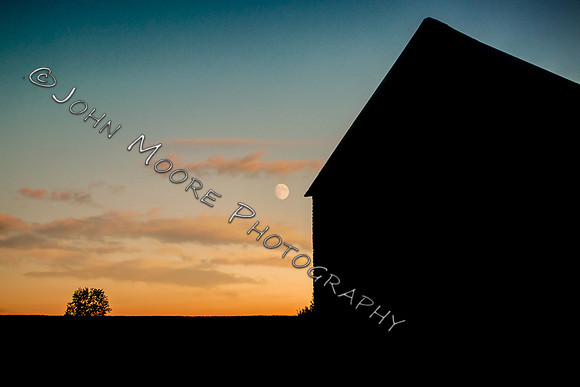 IMG_8316-Edit