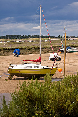 IMG_7390i