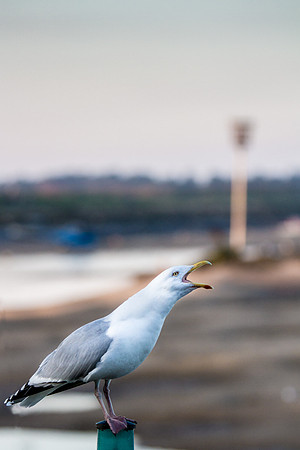 IMG_3094-Edit