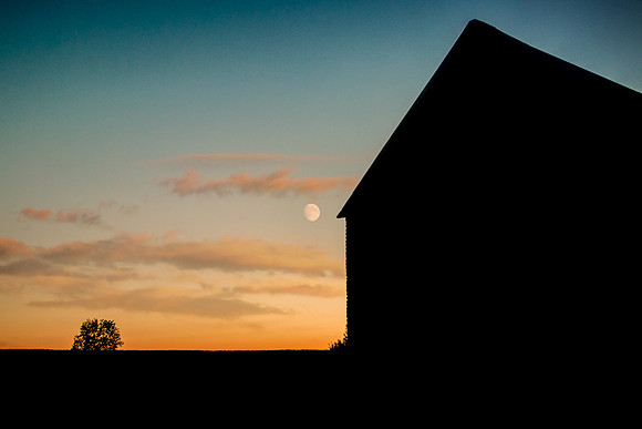 IMG_8316-Edit