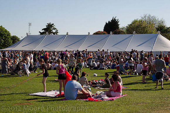willow_fest-70