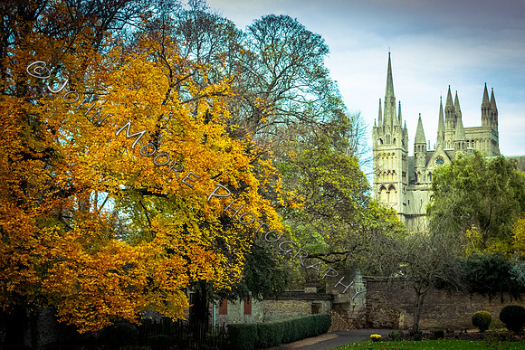IMG_4936-Edit-2