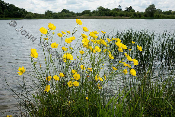 DSCF1102