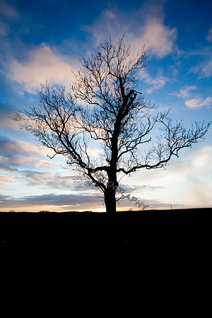 IMG_4927-Edit