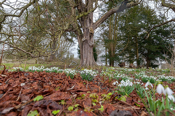 IMG_5341