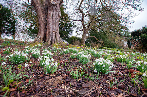 IMG_5340-Edit