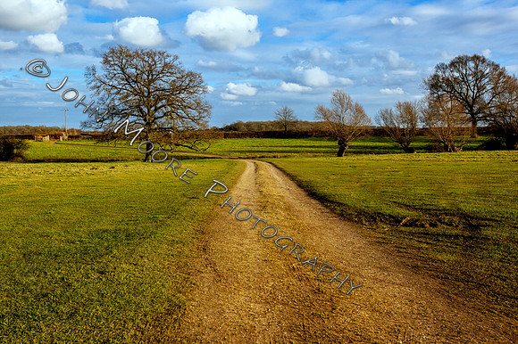 IMG_5392-Edit