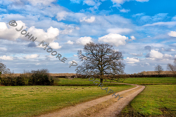 IMG_5399-Edit
