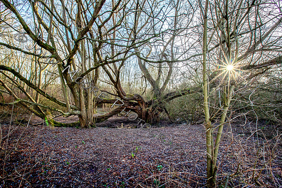 IMG_5563-Edit