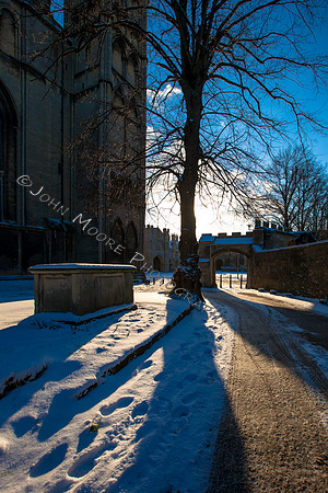 IMG_5969-2