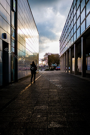 DSCF8243
