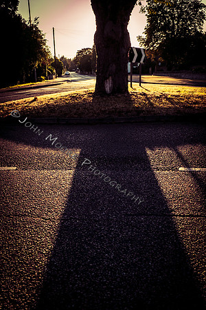 DSCF9768